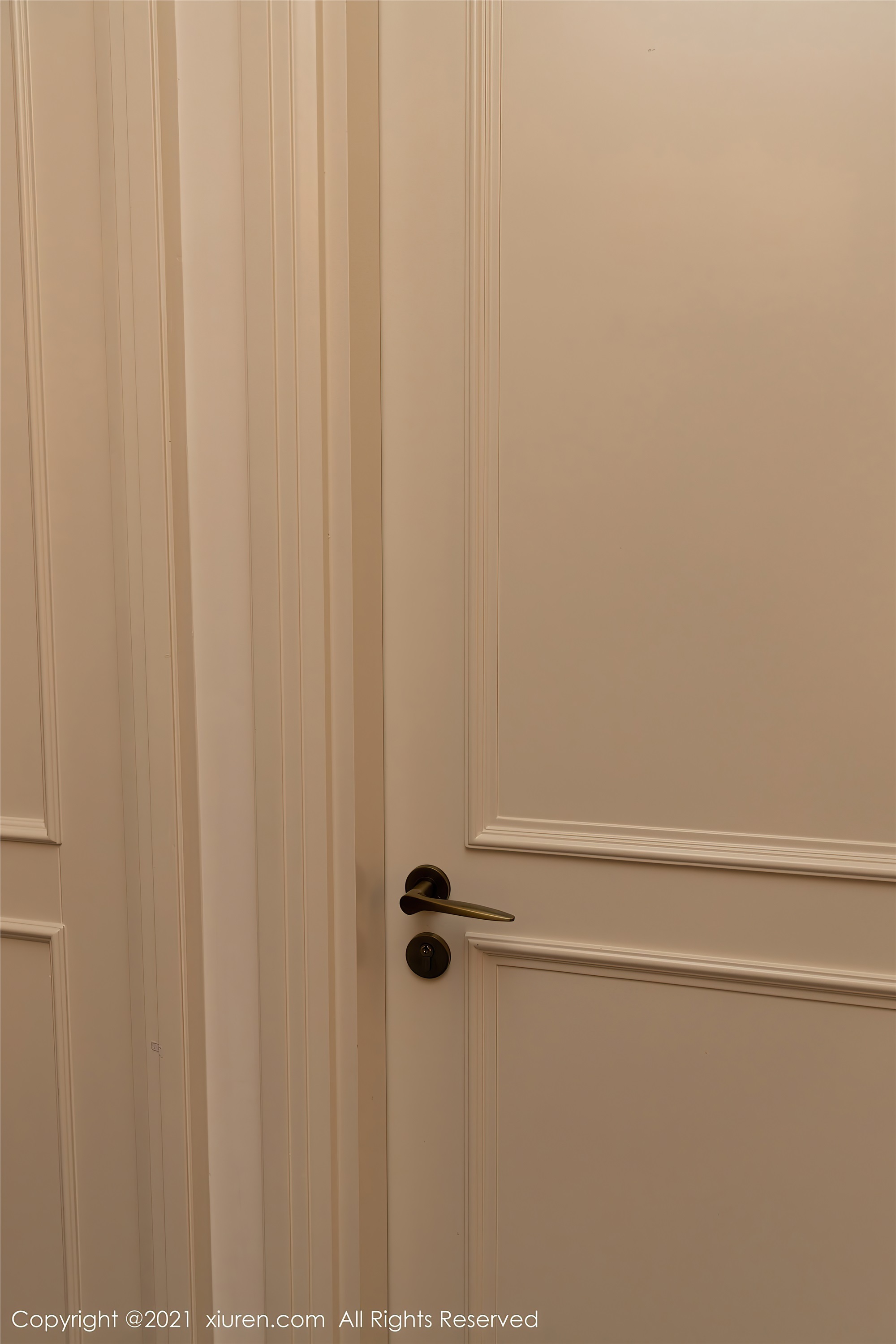 XiuRen秀人网  2021.03.08 No.3176 王雨纯